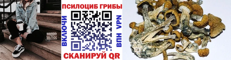 Галлюциногенные грибы мухоморы  Старица 